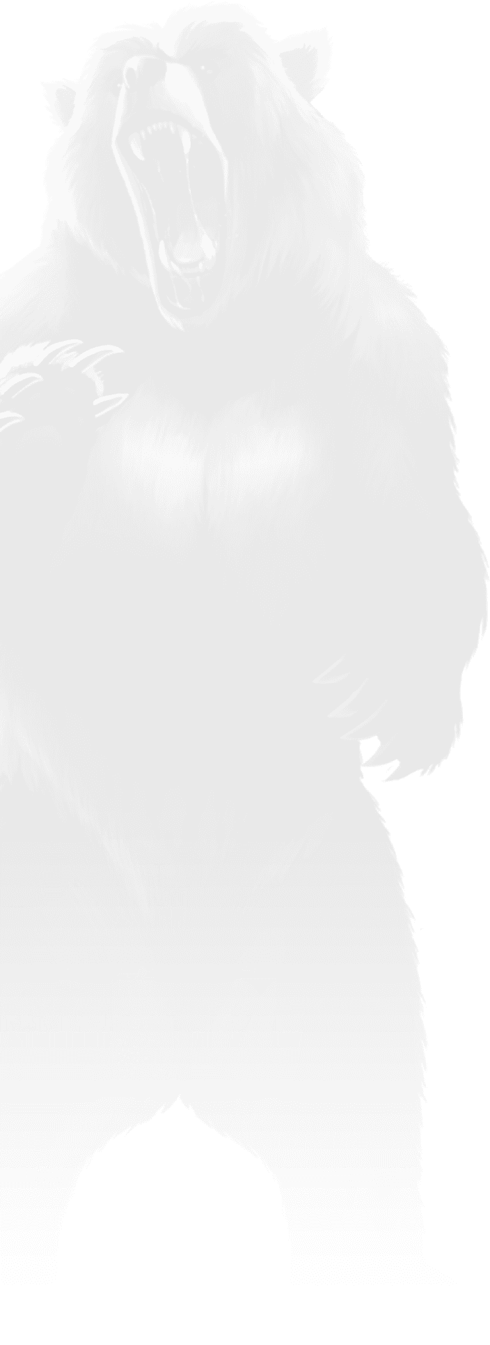 BetSoft Jungle Stripes Screenshot