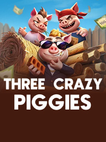 Three Crazy Piggies