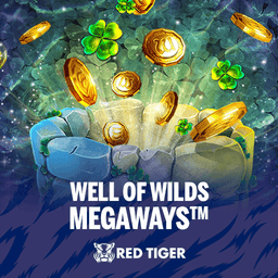 RT Well Of Wilds Megaways Screenshot