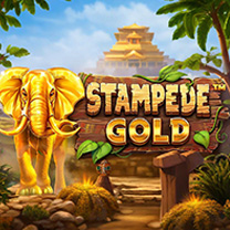 BetSoft Stampede Gold Game at Slot Designer