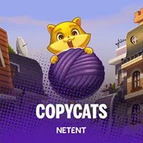 Copy Cats