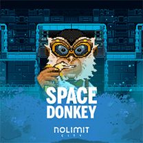 Space Donkey