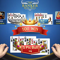 WG Cards Checker Bull Bull