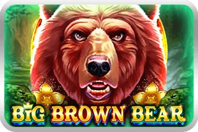 Big Brown Bear Screenshot